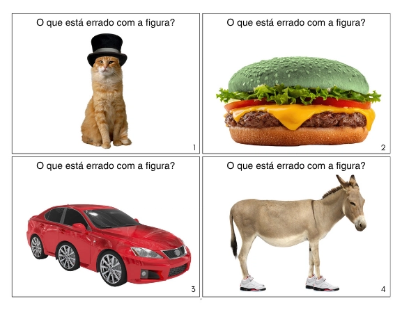 Amostra 1 dos cartões O Que Está Errado
