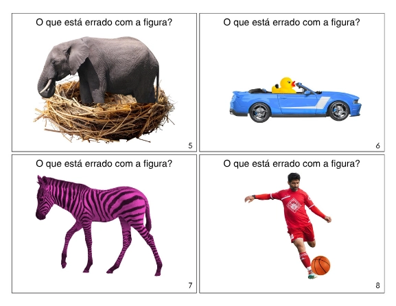 Amostra 2 dos cartões O Que Está Errado